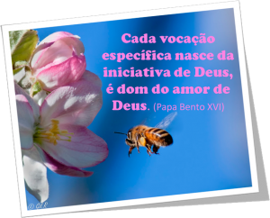 vocacional1-